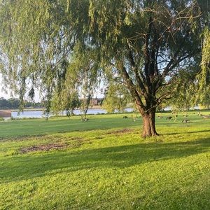 Meet your Posher, Yaritza